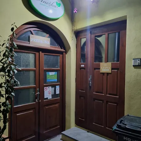 Liana Old Town Διαμέρισμα Košice